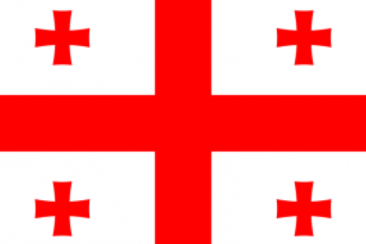 Бывший мэр Киева занялся политикой в Грузии