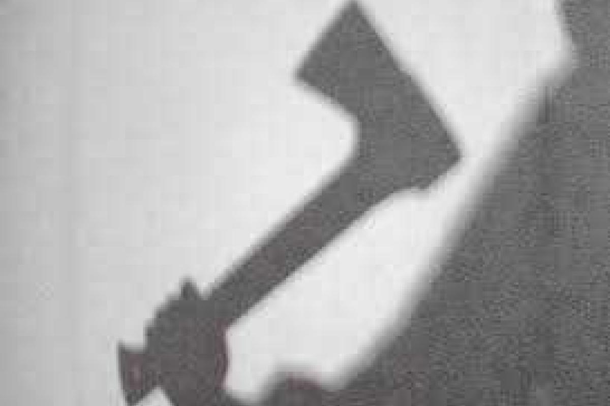 Харьковчанин ударил собутыльника топором по голове