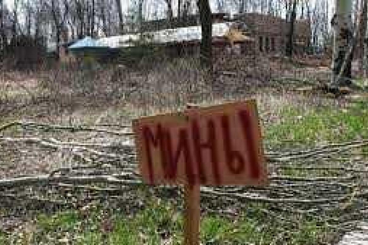 Двое пенсионеров погибли, подорвавшись на минах в Станице Луганской