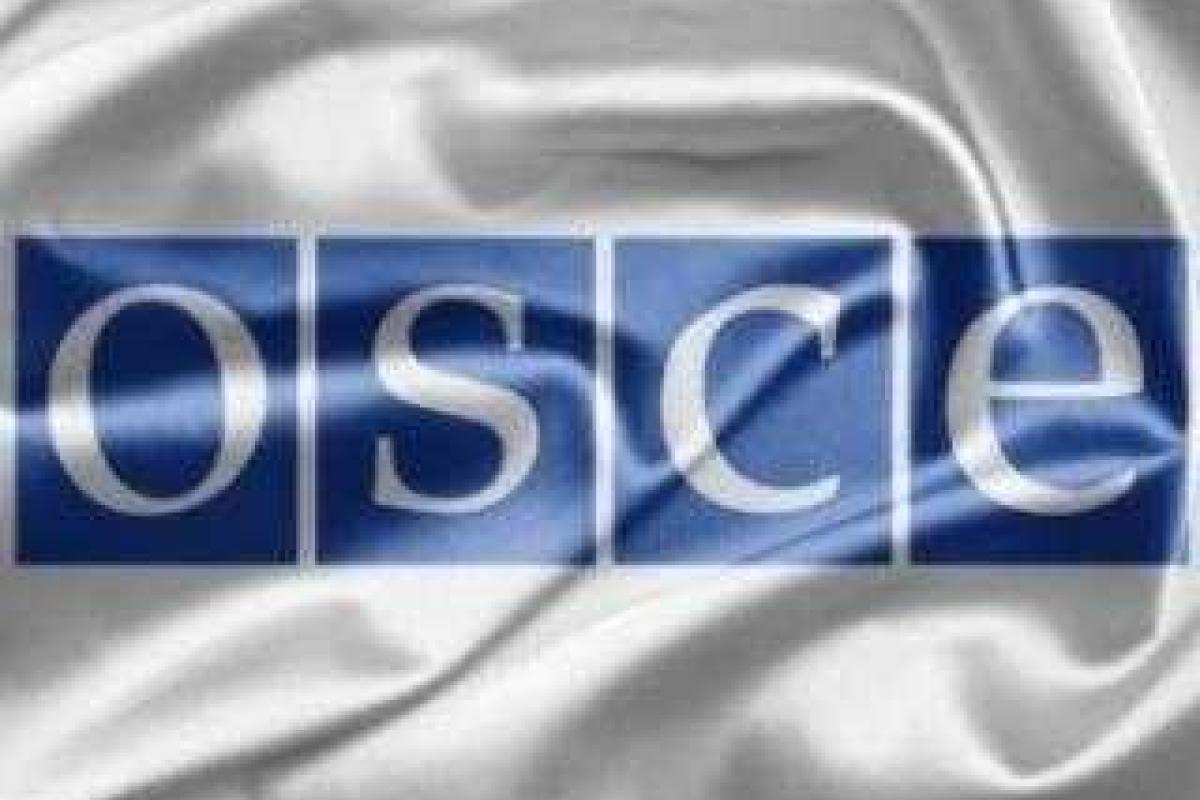 До конца недели в Горловке и Дебальцево откроются представительства ОБСЕ - Хуг