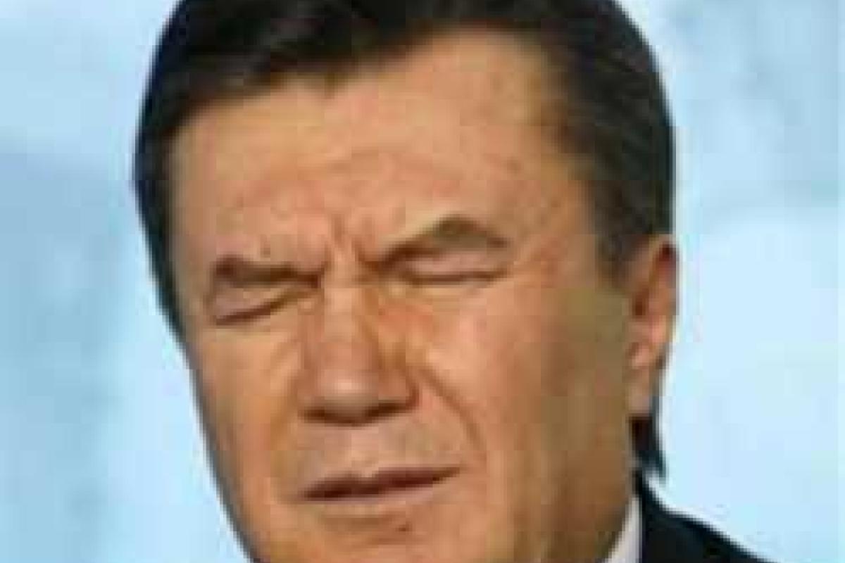 Януковичу стоит попробовать себя в российской политике - эксперт