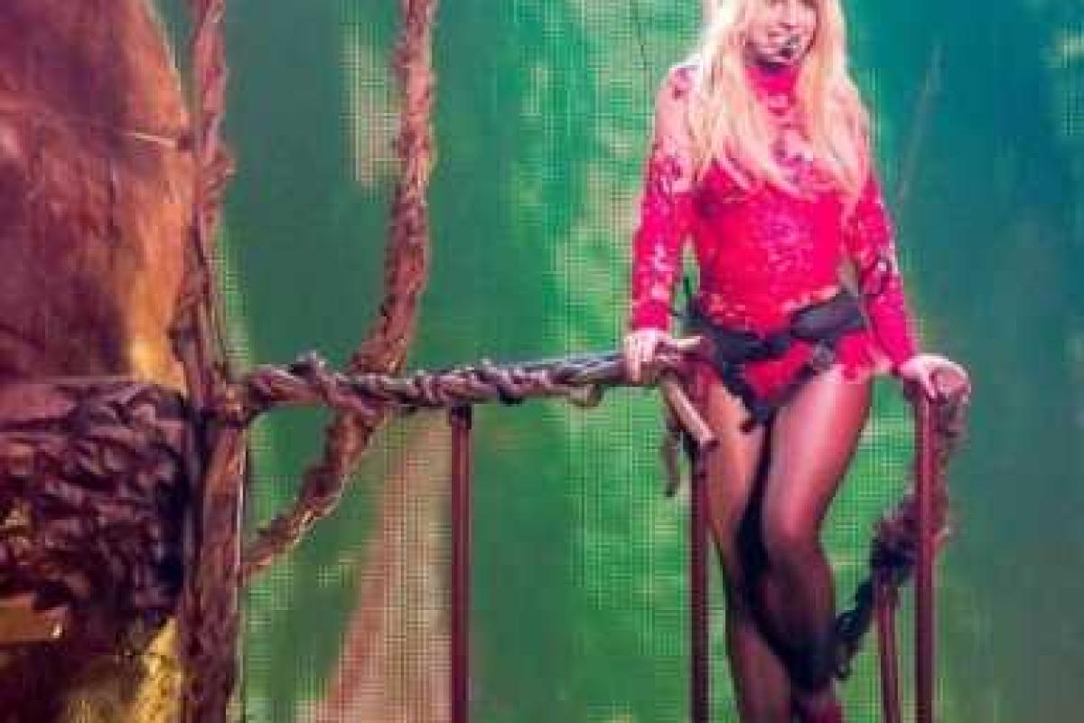 Бритни Спирс застряла на дереве во время собственного шоу 