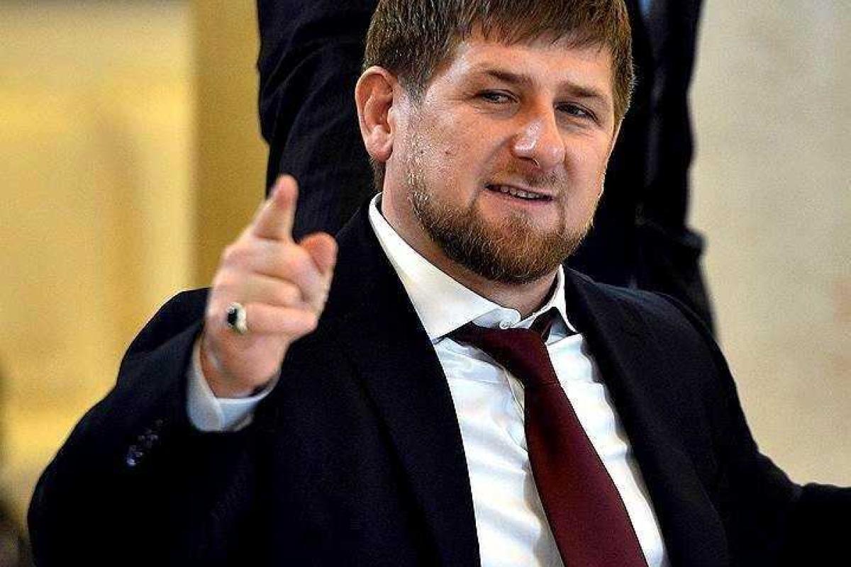 Кадырова растрогала дружба собаки и котенка