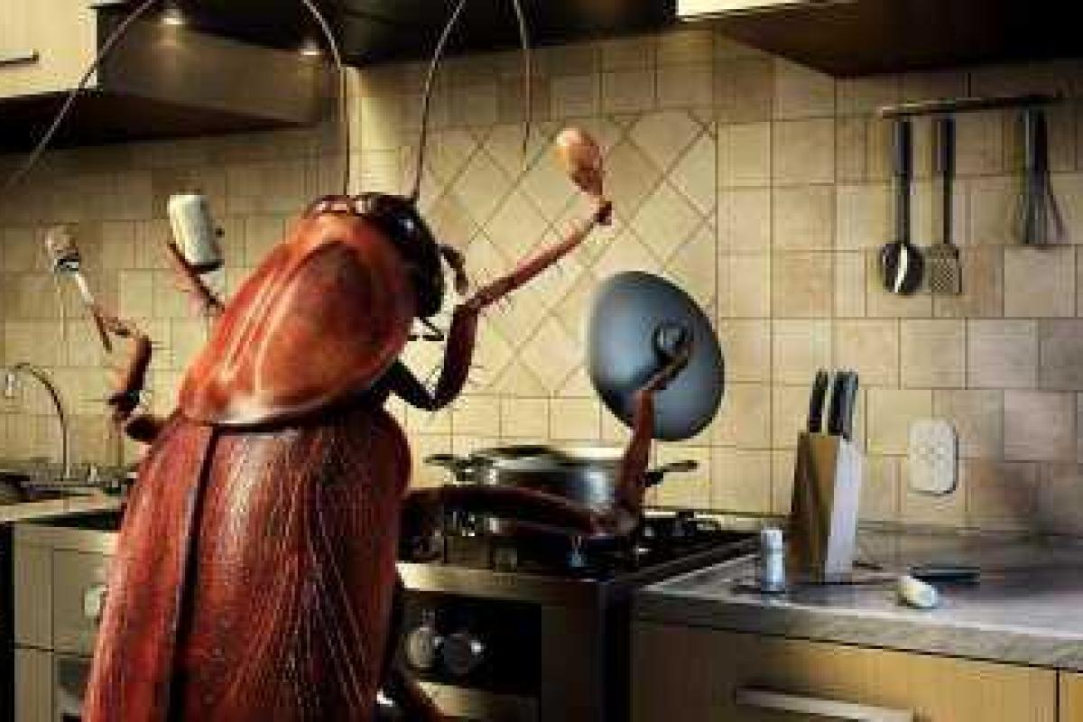 Ученые рассказали, сколько видов насекомых живет в доме каждого человека 