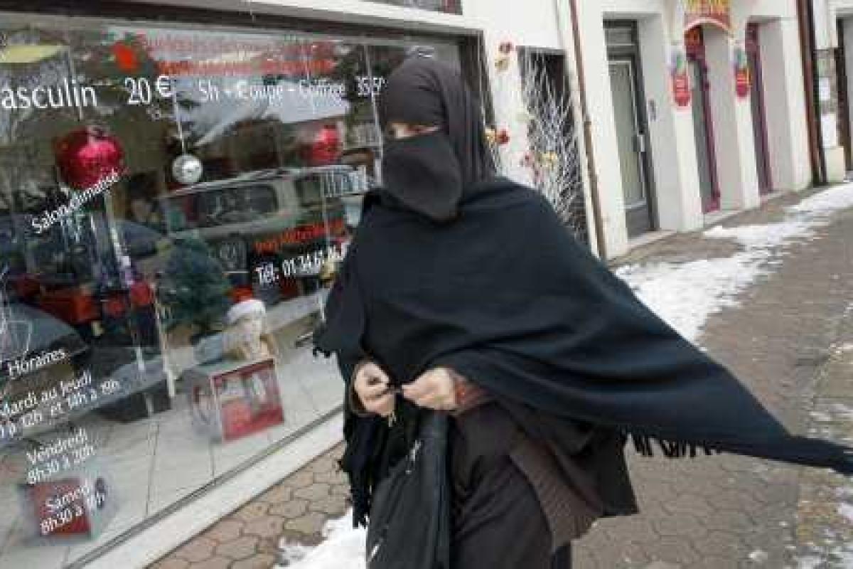 В Дании воюют с мигрантами с помощью свиных фрикаделек 