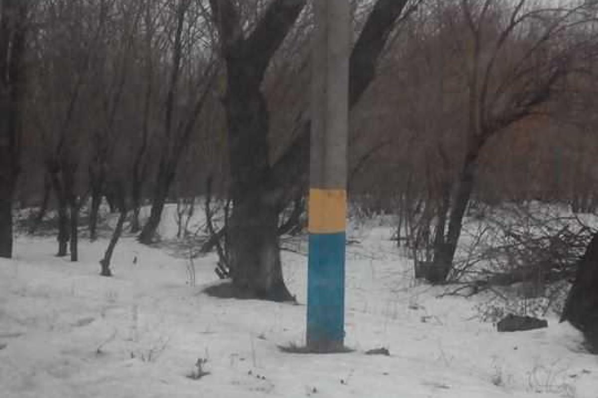 В Краснодоне столбы раскрашены в цвета украинского флага В Краснодоне столбы раскрашены в цвета украинского флага