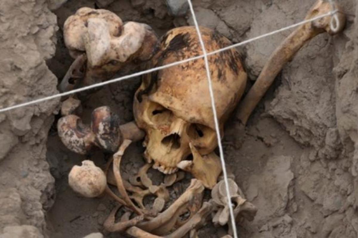 В Шотландии под детской площадкой был обнаружен скелет пирата