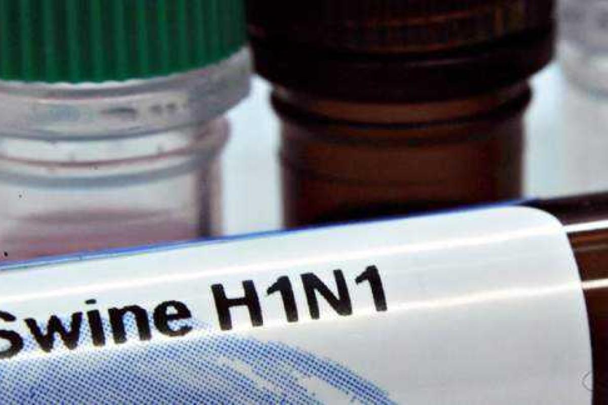 В России распространяется грипп H1N1