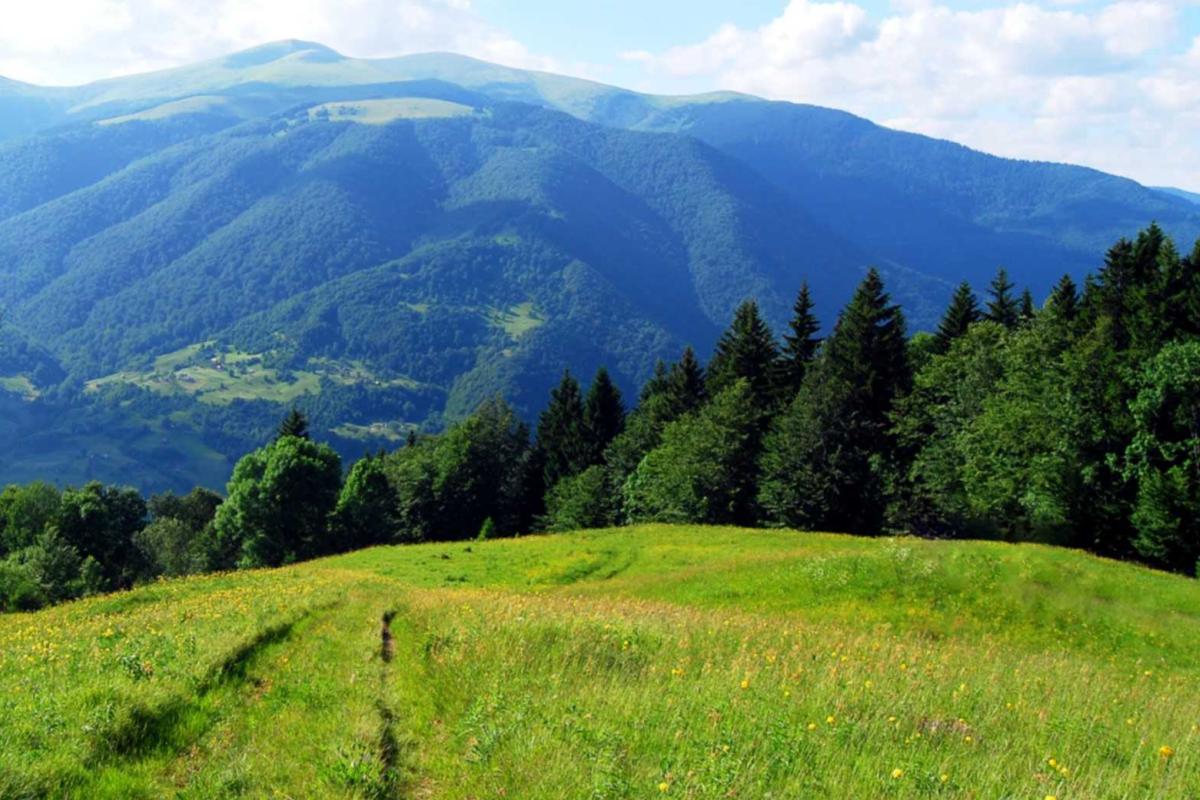 Ученые NASA едут в Карпаты: радары действительно зафиксировали НЛО