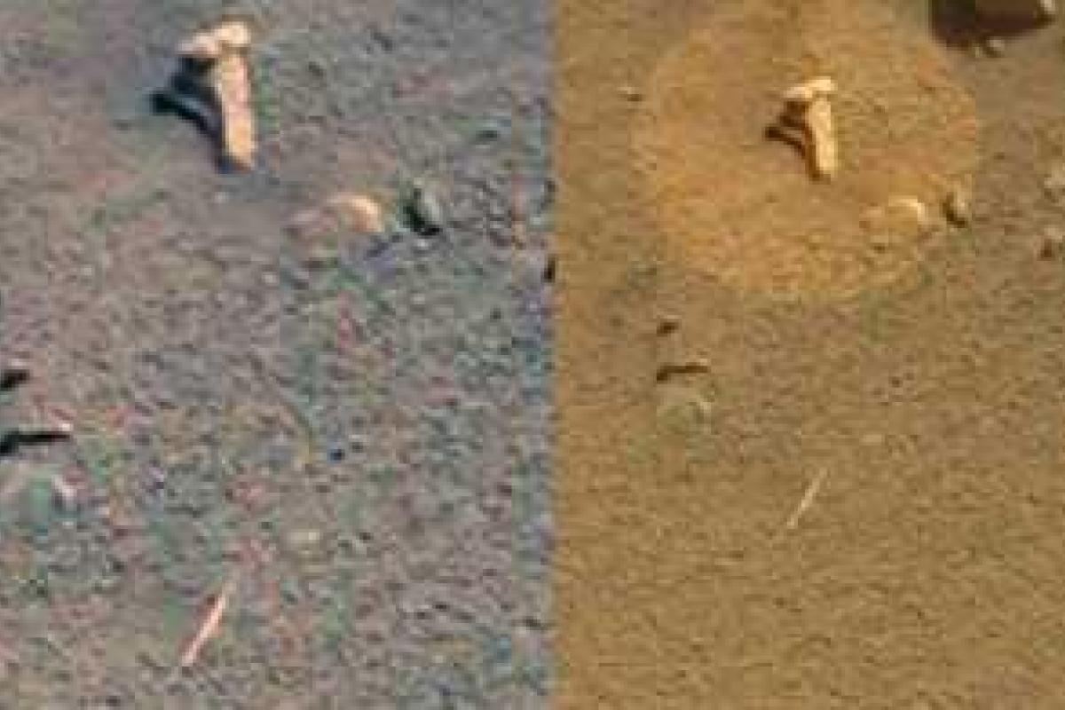 Виртуальные археологи обнаружили на Марсе кость, топор и лук. Видео