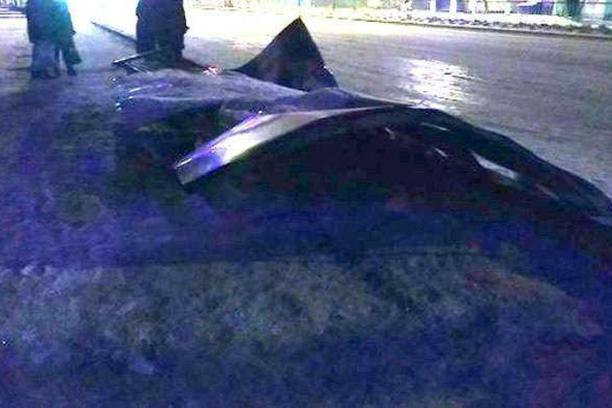 Водитель «Газели» снес автобусную остановку в Луганске Водитель «Газели» снес автобусную остановку в Луганске