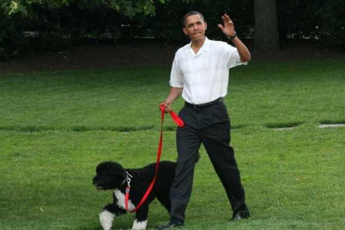 У президента США Обамы пытались украсть собаку