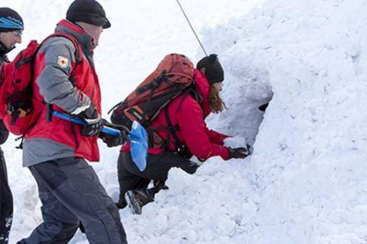 Во французских Альпах лавина накрыла детей, минимум четверо погибли
