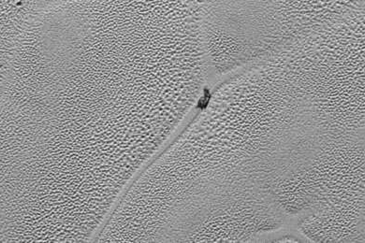 На Плутоне обнаружили гигантскую улитку