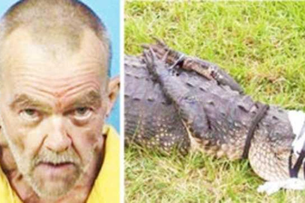 В США престарелый зоофил регулярно насиловал аллигатора в отместку за то, что тот однажды чуть не убил его