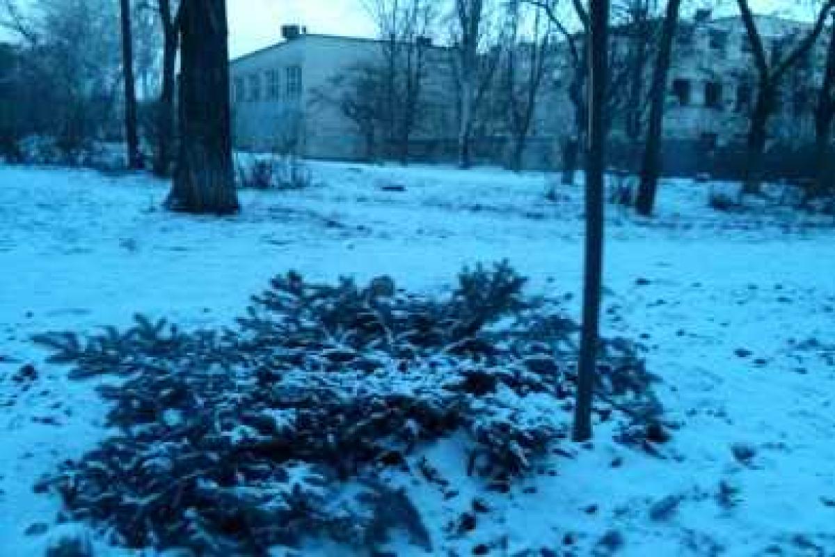 В Мариуполе "открылся" новый браконьерский сезон В Мариуполе "открылся" новый браконьерский сезон