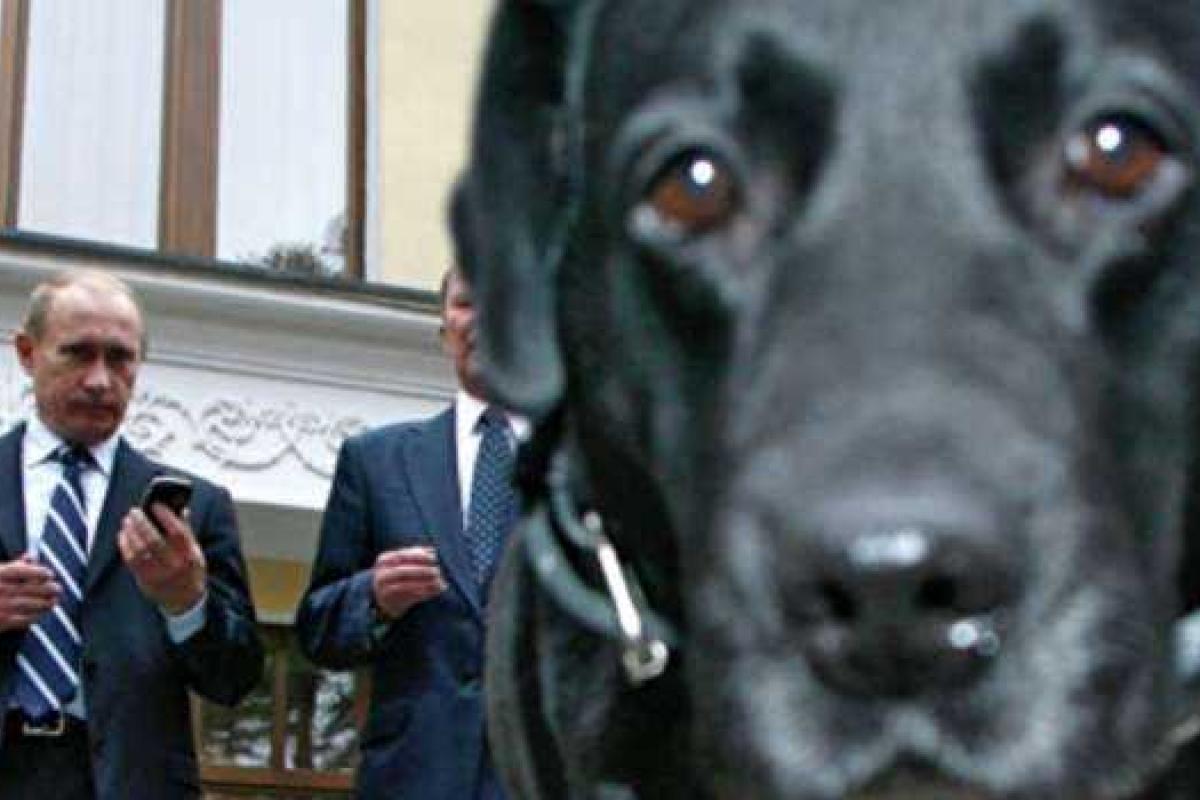 Путин рассказал, как напугал своим лабрадором Ангелу Меркель Путин рассказал, как напугал своим лабрадором Ангелу Меркель