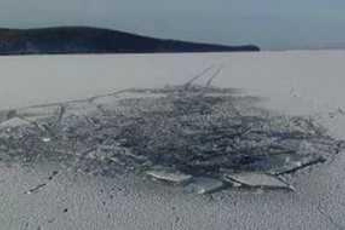 В Чернигове двое мужчин провалились под лед В Чернигове двое мужчин провалились под лед