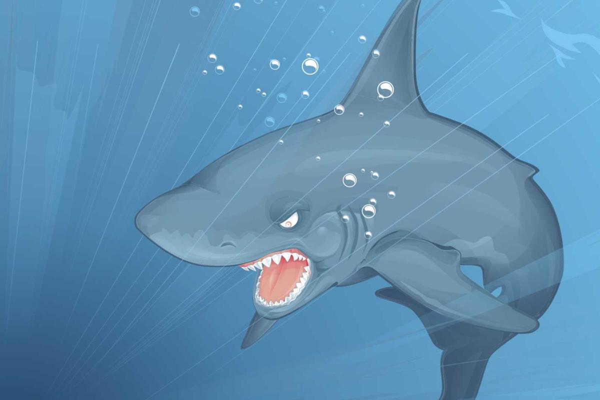 Американские студенты обнаружили настоящий ужас океана - акулу-ниндзя Американские студенты обнаружили настоящий ужас океана - акулу-ниндзя