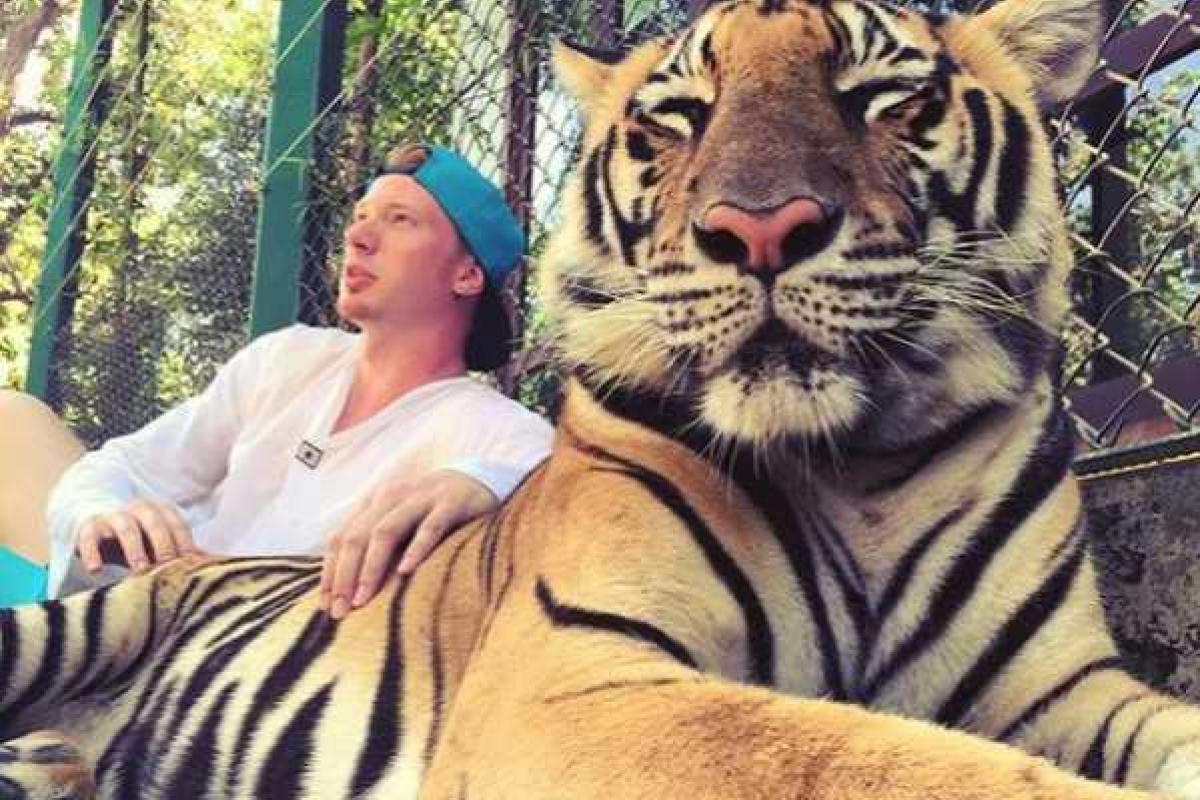 Фанаты Никиты Преснякова оценили его экстремальный снимок Фанаты Никиты Преснякова оценили его экстремальный снимок