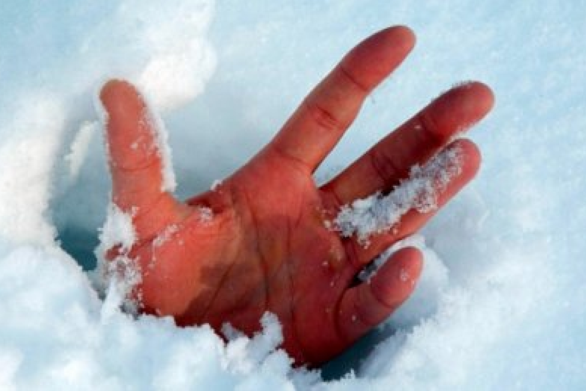 21-летняя американка замерзла насмерть, выйдя на улицу в чулках и шортах при температуре -21