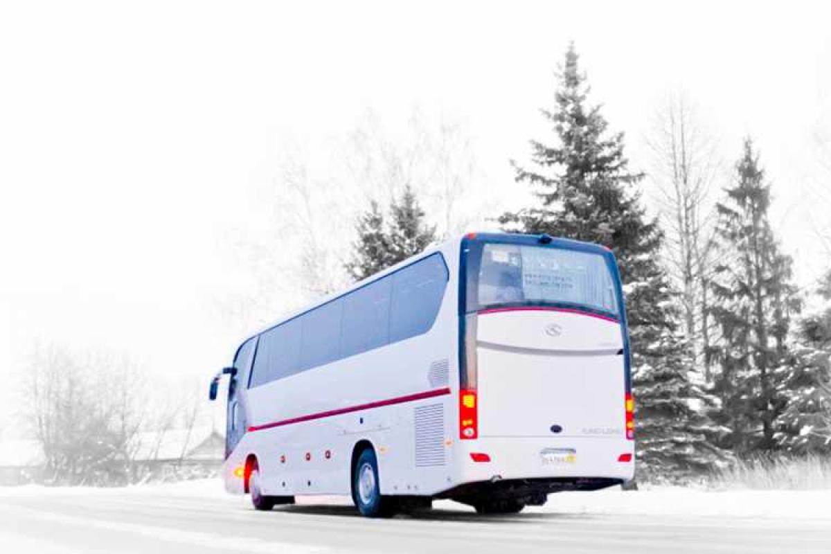 В туристическом автобусе с разницей в полчаса умерли 2 россиянки