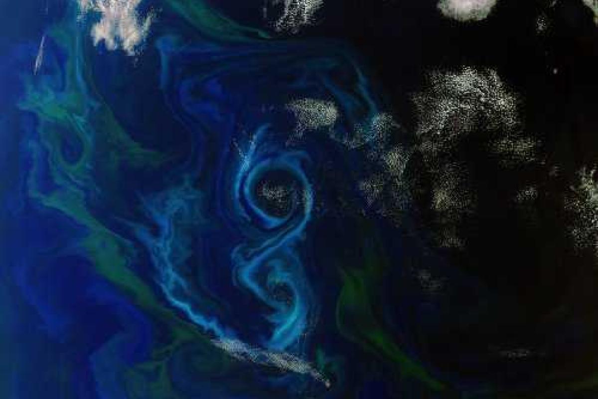 Ученые: Индийский океан может стать безжизненным