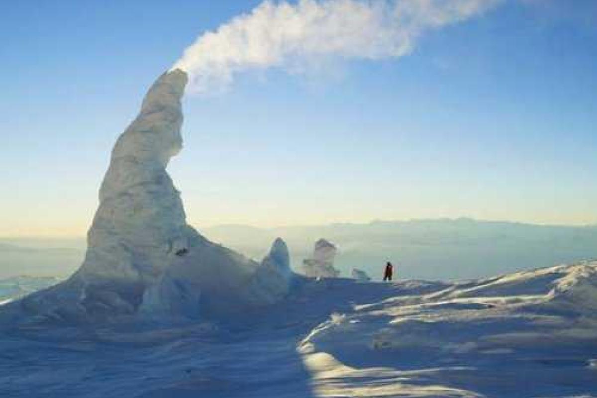 Ученые зафиксировали в Антарктиде температурный рекорд в 17,8 градусов