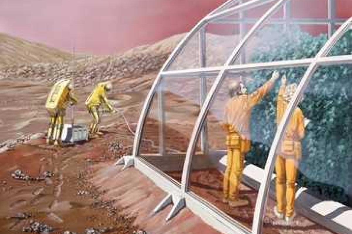 Российский космонавт заявил, что выращивать картофель на Марсе реально