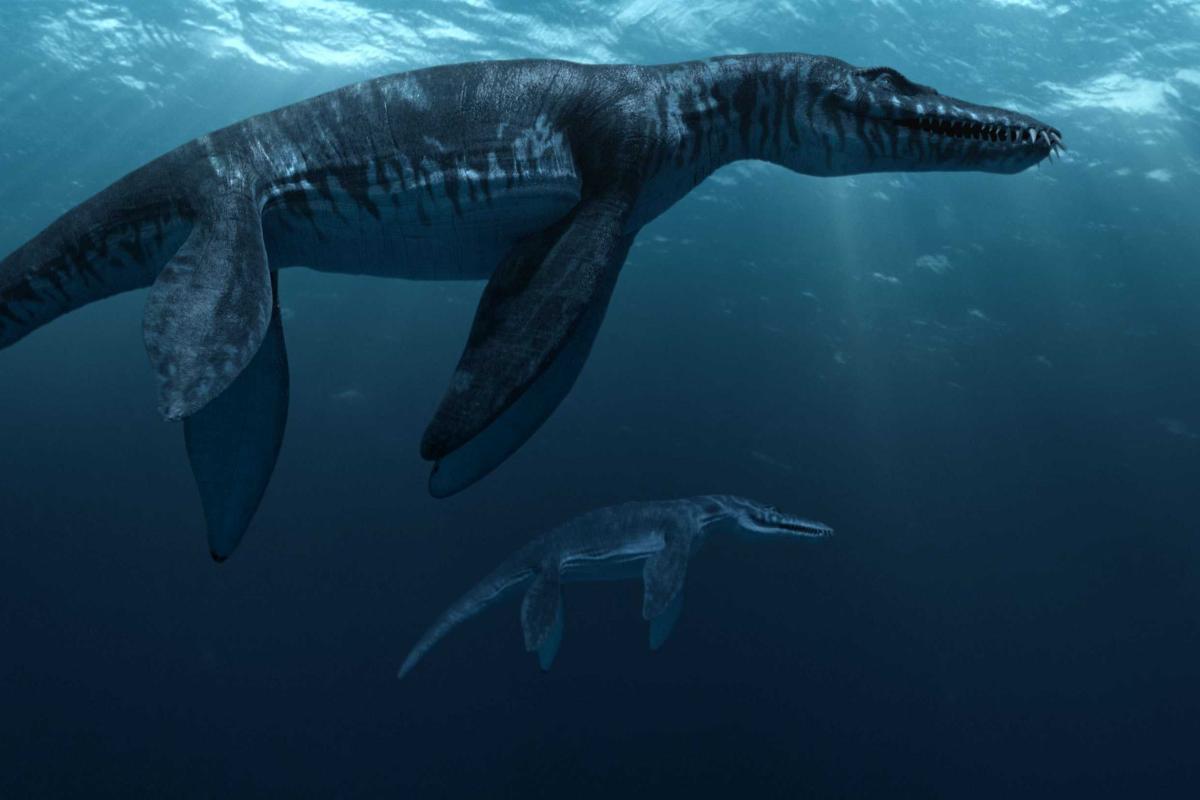 В США и Японии найдены останки неизученного вида доисторических рыб