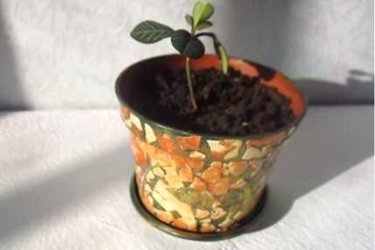 Декор цветочного горшка — эффект состаривания