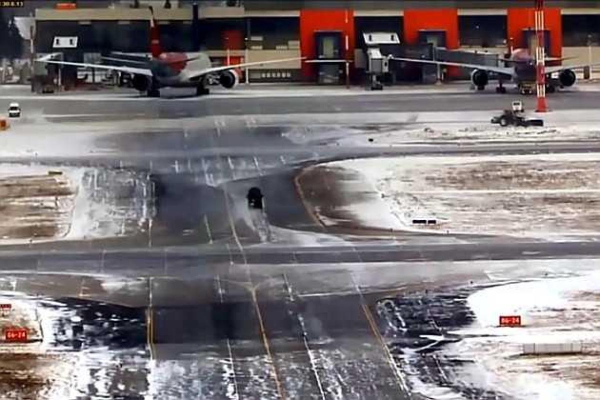 Пьяный автоугонщик едва не устроил авиакатастрофу в Москве