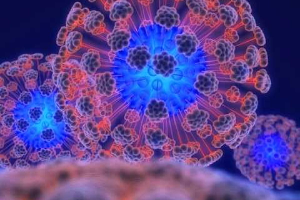 Мир напуган распространением вируса Зика