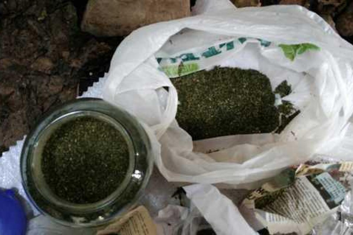У жителя Херсона полицейские изъяли 5 кг конопли У жителя Херсона полицейские изъяли 5 кг конопли