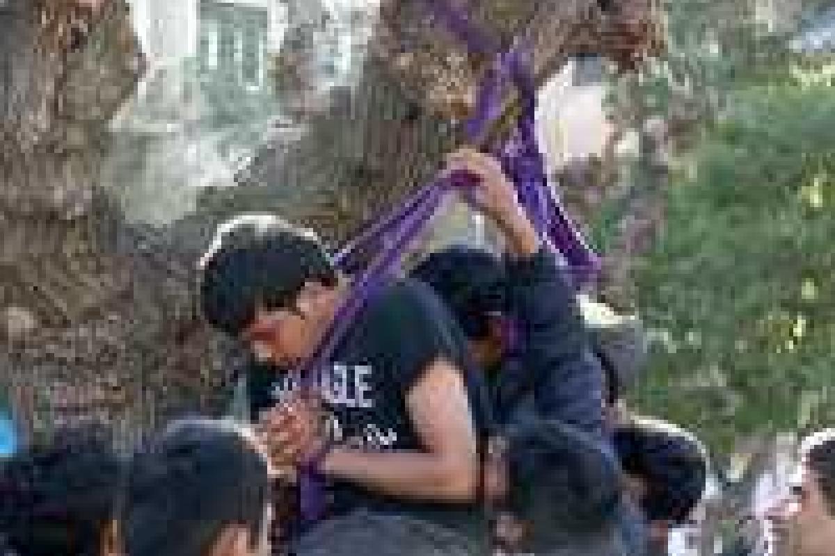 Два мигранта пытались повеситься на дереве в центре Афин