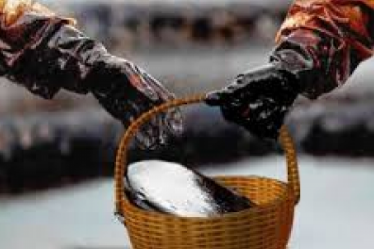 Баррель нефти ОПЕК подешевел до $28,36