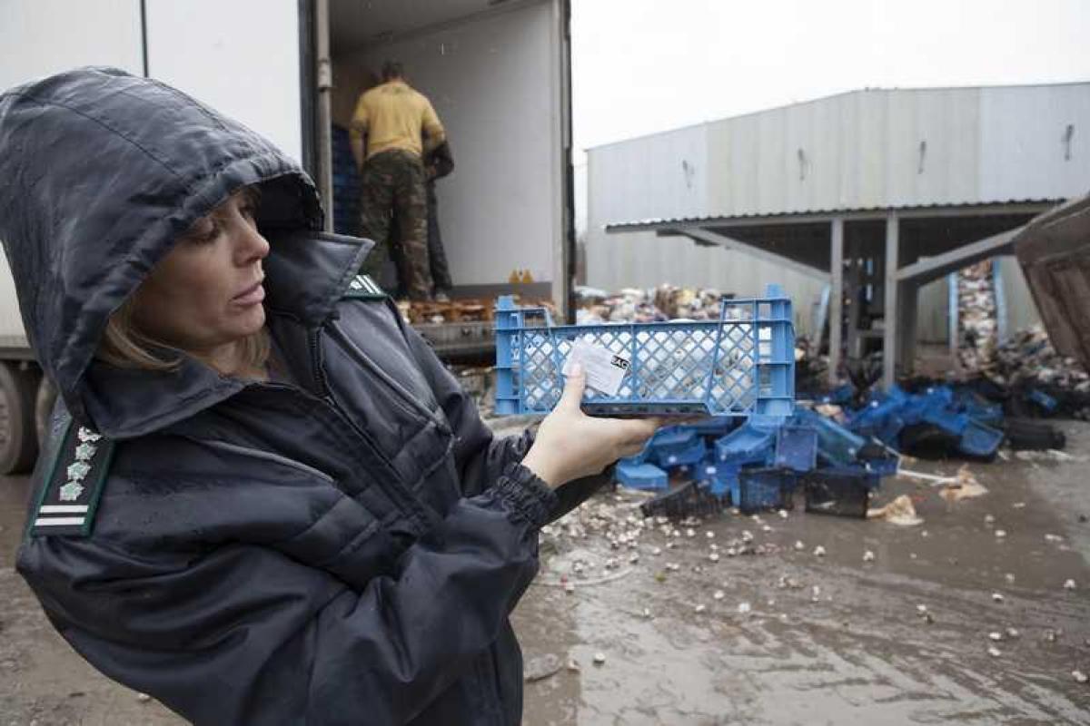 В Ростове-на-Дону трактор раздавил 18 тонн польских шампиньонов В Ростове-на-Дону трактор раздавил 18 тонн польских шампиньонов