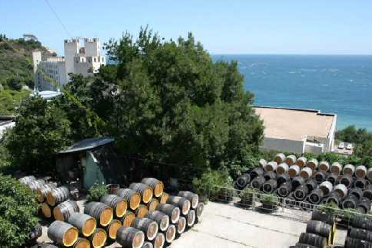 Крымская Массандра перешла в личные владения Путина Крымская Массандра перешла в личные владения Путина