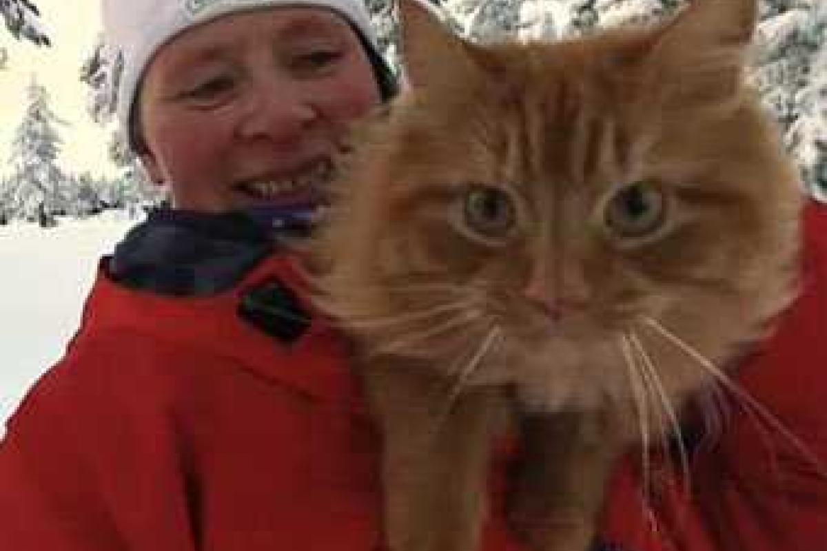 Самый мужественный кот катает свою хозяйку на лыжах