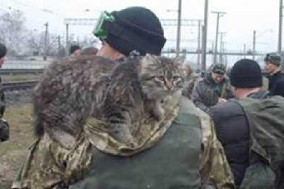 Волонтер рассказал о необычной ротации ВСУ 