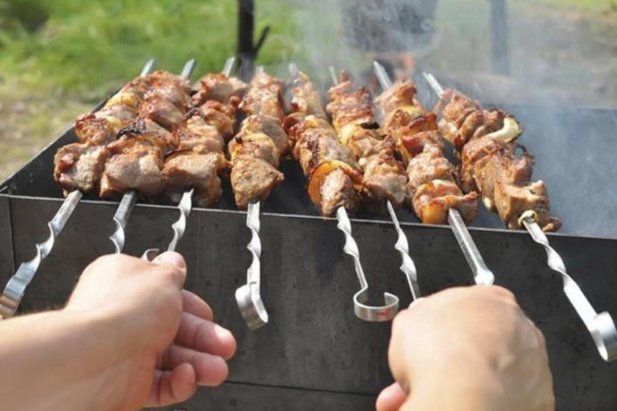 В Киеве вводят запрет на шашлыки В Киеве вводят запрет на шашлыки