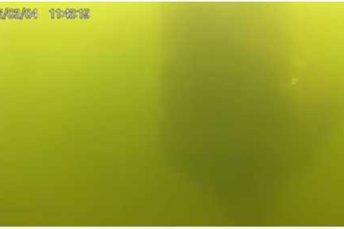 Киевские водолазы обнаружили ужасную находку