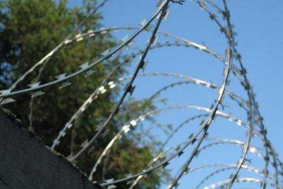 Эстония частично отделится от России забором 