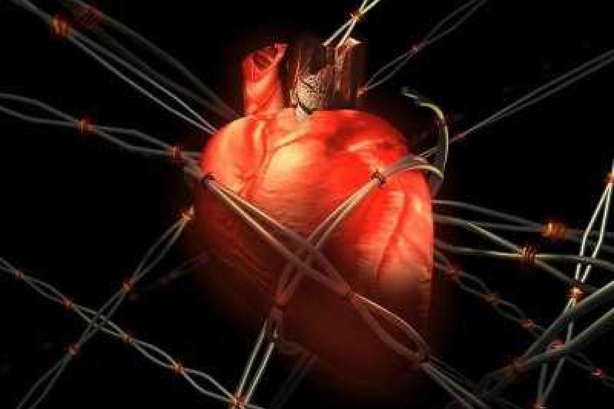 Кардиологи назвали самые опасные для сердца профессии 