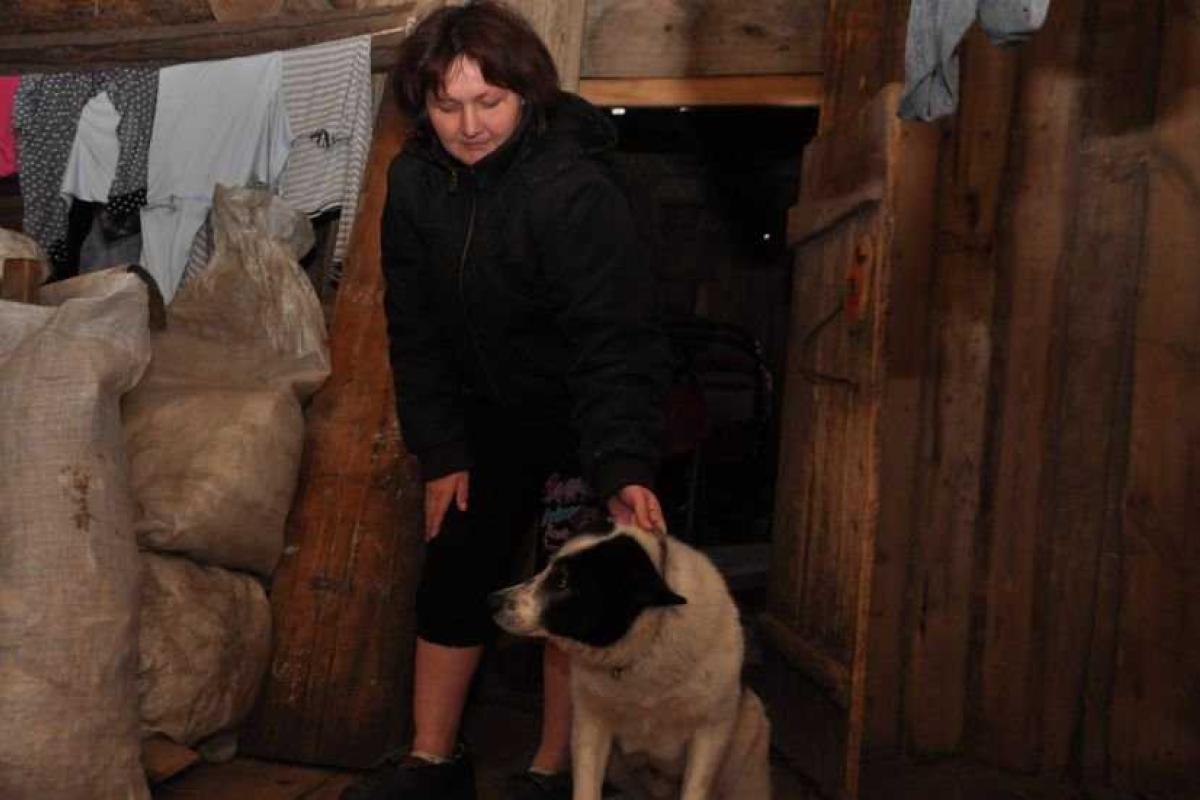 В России пес Барсик съел соседа-туберкулезника 