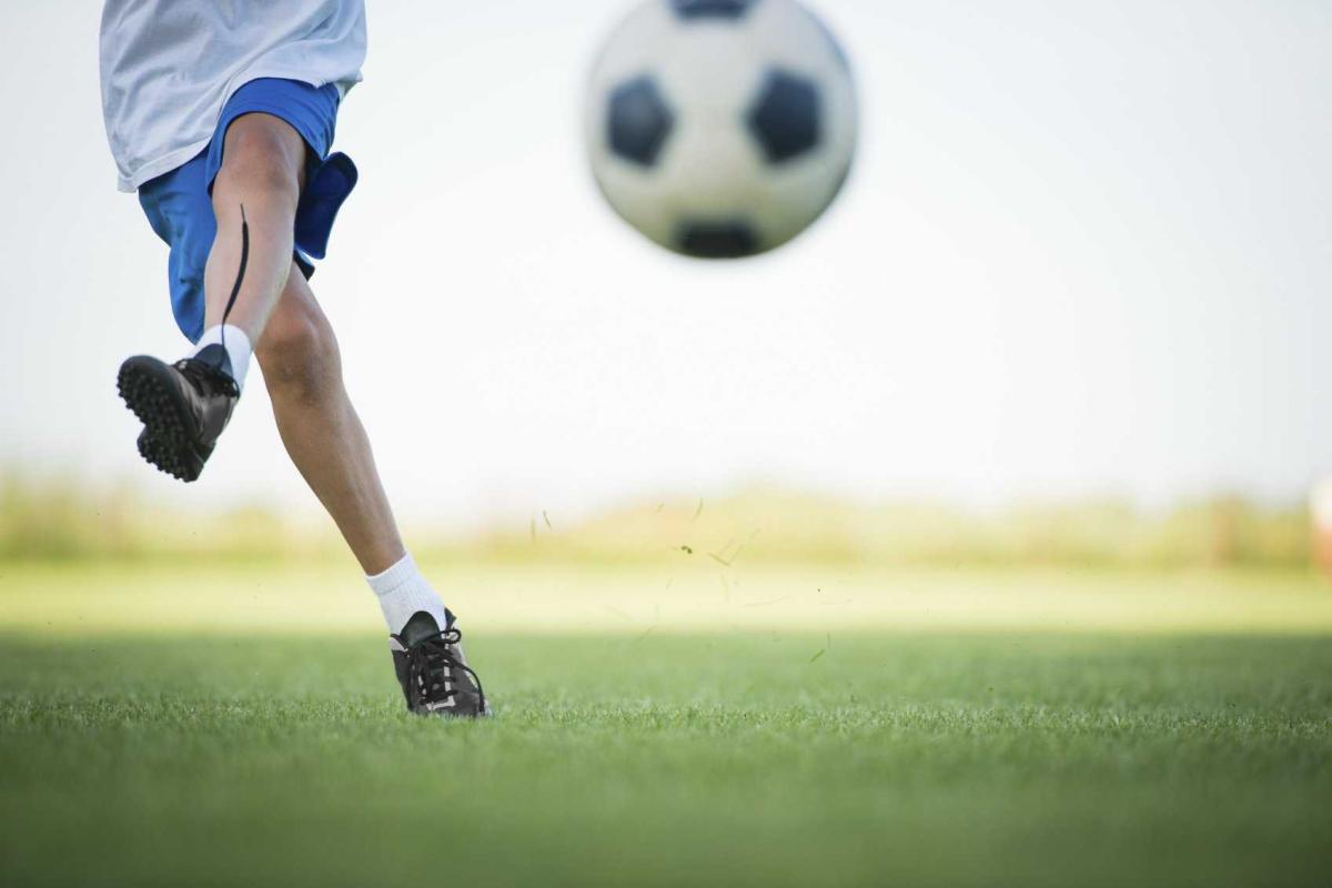 В Барнауле школьники до смерти забили щенка, играя им в футбол