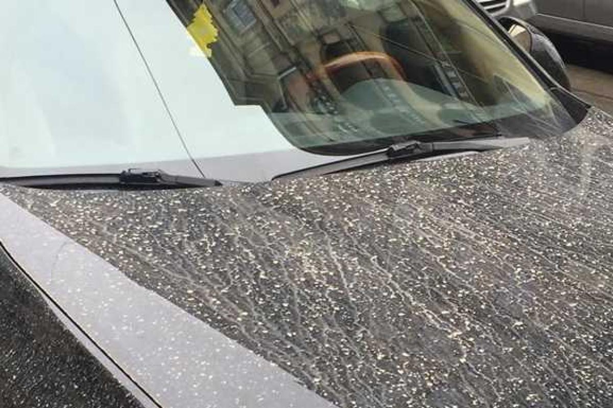 Во Львовской области выпал оранжевый дождь Во Львовской области выпал оранжевый дождь