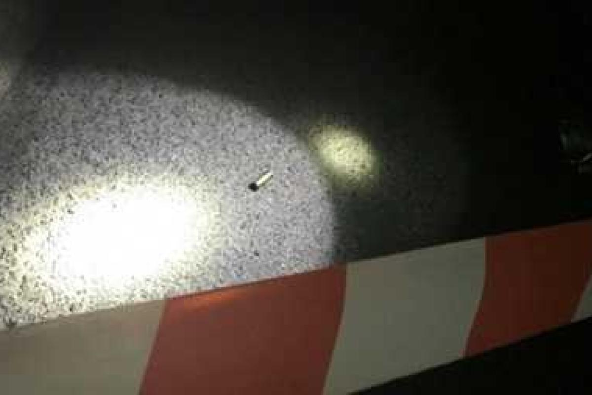 В Киеве задержан пьяный полицейский, стрелявший по собакам В Киеве задержан пьяный полицейский, стрелявший по собакам