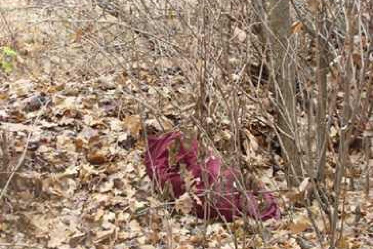 Обезглавленное тело мужчины нашли в Подмосковье