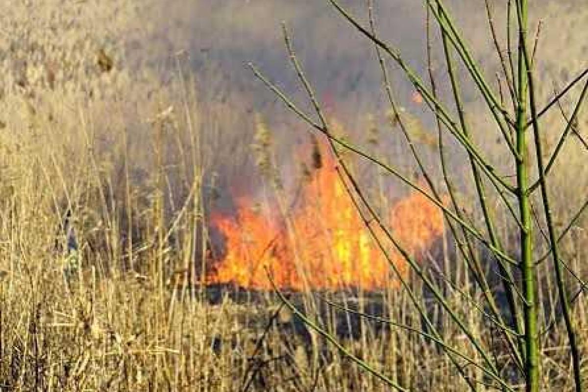 В Мариуполе спасатели боролись с огнем, который мог перекинуться на заправки В Мариуполе спасатели боролись с огнем, который мог перекинуться на заправки